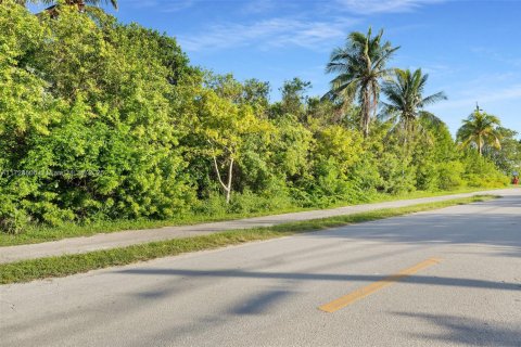 Land in Marathon, Florida № 2015738 - photo 17