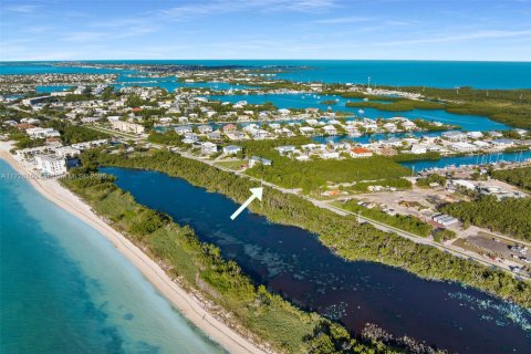 Land in Marathon, Florida № 2015738 - photo 6