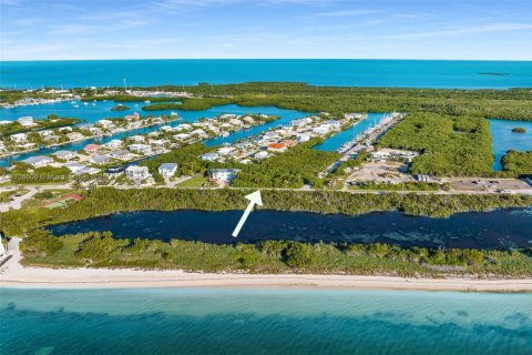 Land in Marathon, Florida № 2015738 - photo 4