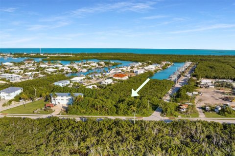 Land in Marathon, Florida № 2015738 - photo 13