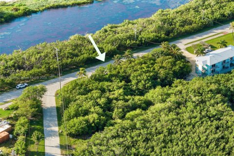 Land in Marathon, Florida № 2015738 - photo 9