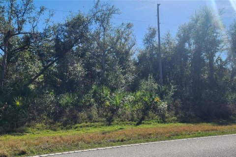 Land in Port Charlotte, Florida № 2211828 - photo 3