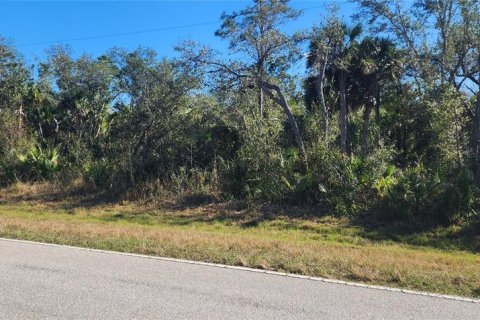 Land in Port Charlotte, Florida № 2211828 - photo 4