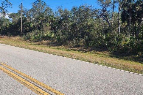 Land in Port Charlotte, Florida № 2211828 - photo 7