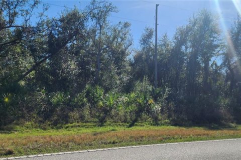 Land in Port Charlotte, Florida № 2211828 - photo 6