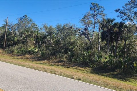 Land in Port Charlotte, Florida № 2211828 - photo 9