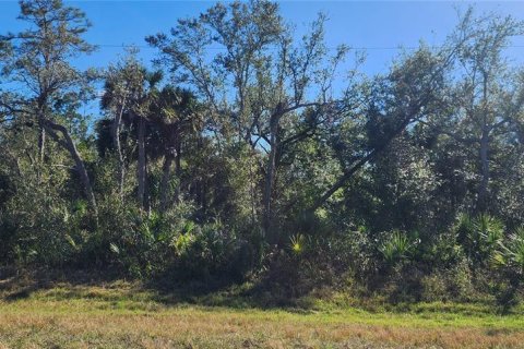Land in Port Charlotte, Florida № 2211828 - photo 5