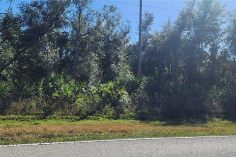 Land in Port Charlotte, Florida № 2211828 - photo 11