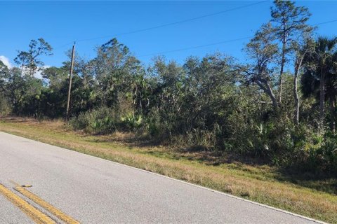 Land in Port Charlotte, Florida № 2211828 - photo 8