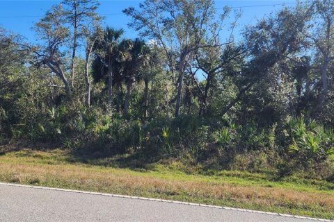 Land in Port Charlotte, Florida № 2211828 - photo 10