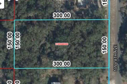 Land in Trenton, Florida № 2212914