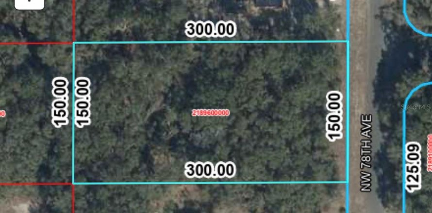 Land in Trenton, Florida № 2212914