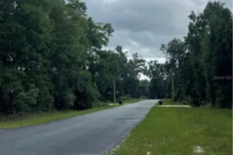Land in Trenton, Florida № 2212914 - photo 2