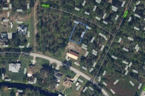 Land in Lake Placid, Florida № 2158501