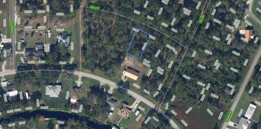Land in Lake Placid, Florida № 2158501