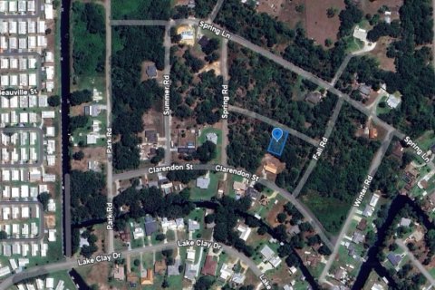 Land in Lake Placid, Florida № 2158501 - photo 5
