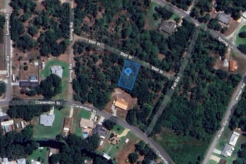 Land in Lake Placid, Florida № 2158501 - photo 4