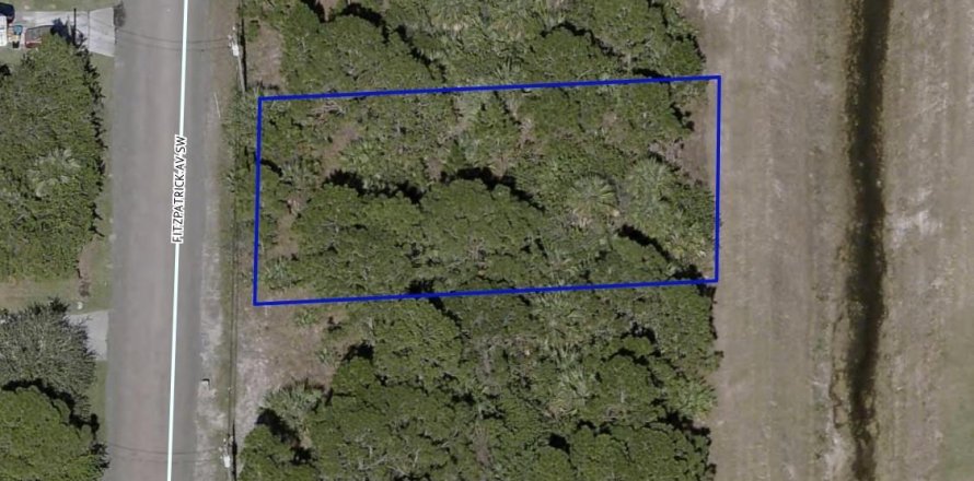 Land in Palm Bay, Florida № 846243