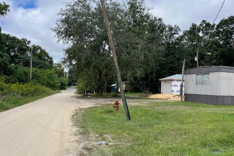 Land in Williston, Florida № 2160452 - photo 2