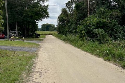 Land in Williston, Florida № 2160452 - photo 3