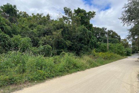 Land in Williston, Florida № 2160452