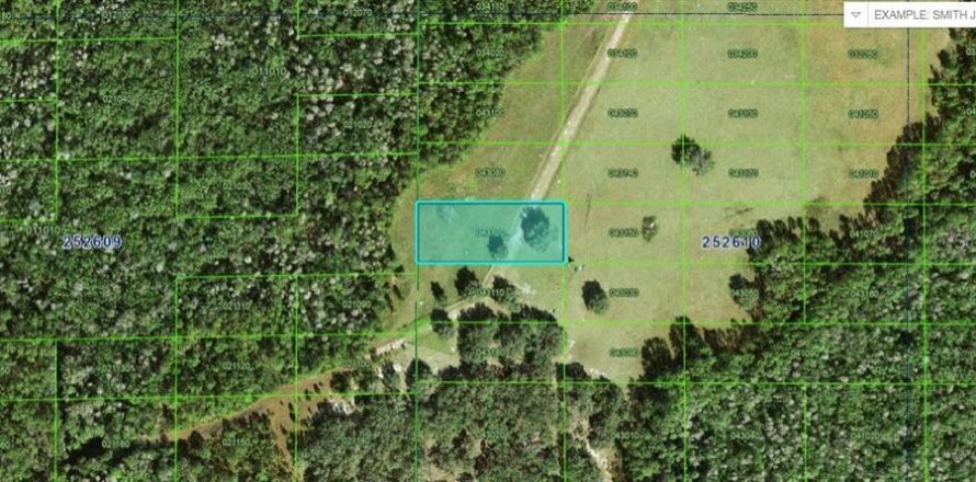 Land in Polk City, Florida № 2158878