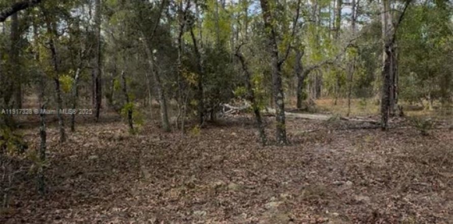 Land in Ocala, Florida № 2158530