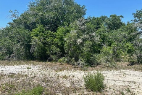 Terrain à Ocklawaha, Floride № 2160255