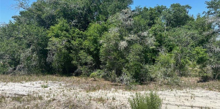 Terrain à Ocklawaha, Floride № 2160255