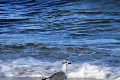 Снять в аренду кондоминиум в Халландейл-Бич, Флорида 2 спальни, 100.33м2, № 1999058 - фото 23