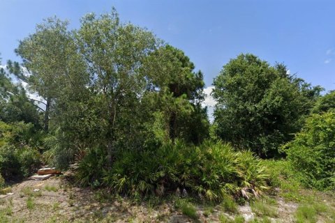 Land in Port Charlotte, Florida № 2164589