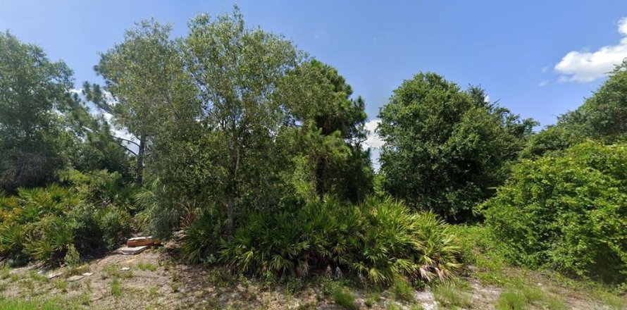 Land in Port Charlotte, Florida № 2164589