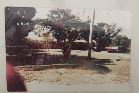 Land in Lake Placid, Florida № 2018850 - photo 3