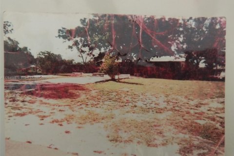 Land in Lake Placid, Florida № 2018850 - photo 4