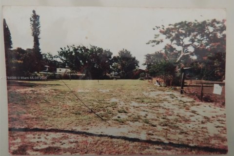 Land in Lake Placid, Florida № 2018850