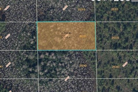 Land in Orlando, Florida № 1341018 - photo 1
