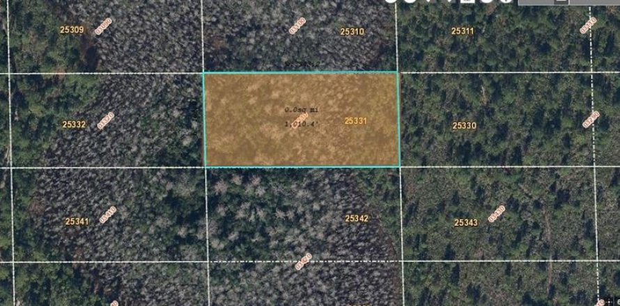 Land in Orlando, Florida № 1341018