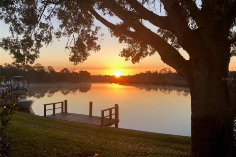 Condominio en venta en Crystal River, Florida, 2 dormitorios, 147.16 m2 № 1823197 - foto 1