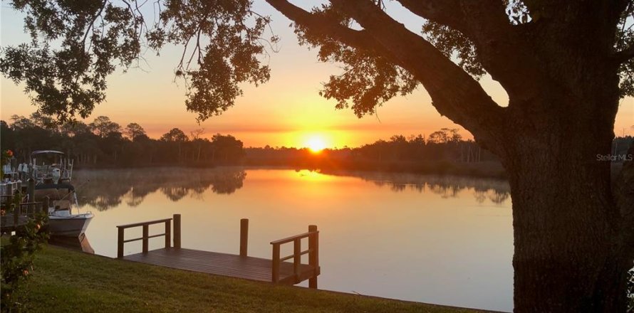 Condominio en Crystal River, Florida, 2 dormitorios  № 1823197