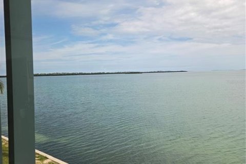 Copropriété à louer à Dunedin, Floride: 1 chambre, 88.91 m2 № 2094748 - photo 7