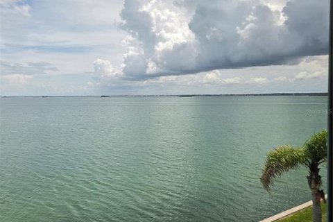 Copropriété à louer à Dunedin, Floride: 1 chambre, 88.91 m2 № 2094748 - photo 8