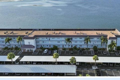 Condo à Dunedin, Floride, 1 chambre  № 2094748