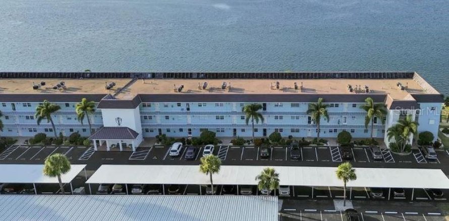 Condo à Dunedin, Floride, 1 chambre  № 2094748