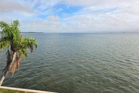 Copropriété à louer à Dunedin, Floride: 1 chambre, 88.91 m2 № 2094748 - photo 6