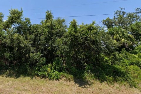 Land in Port Charlotte, Florida № 2166454