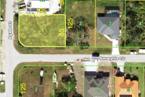 Land in Port Charlotte, Florida № 2166454 - photo 3