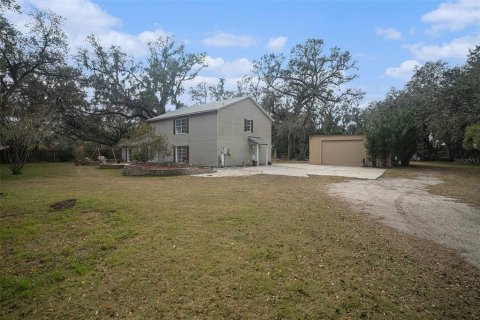 House in Fish Hawk, Florida 3 bedrooms, 270.53 sq.m. № 1544533 - photo 4