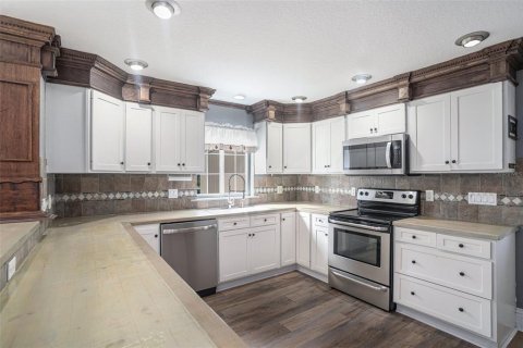 House in Fish Hawk, Florida 3 bedrooms, 270.53 sq.m. № 1544533 - photo 6