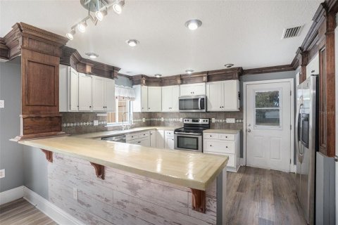 House in Fish Hawk, Florida 3 bedrooms, 270.53 sq.m. № 1544533 - photo 7