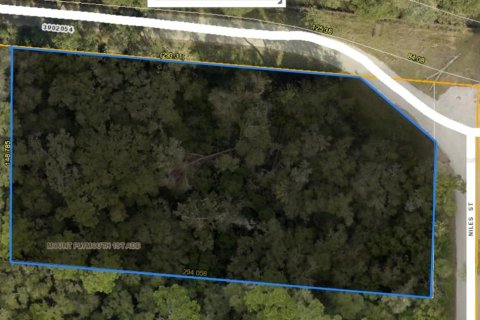 Land in Mount Plymouth, Florida № 2106620